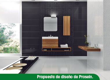 Propuesta de diseño de Prosein.