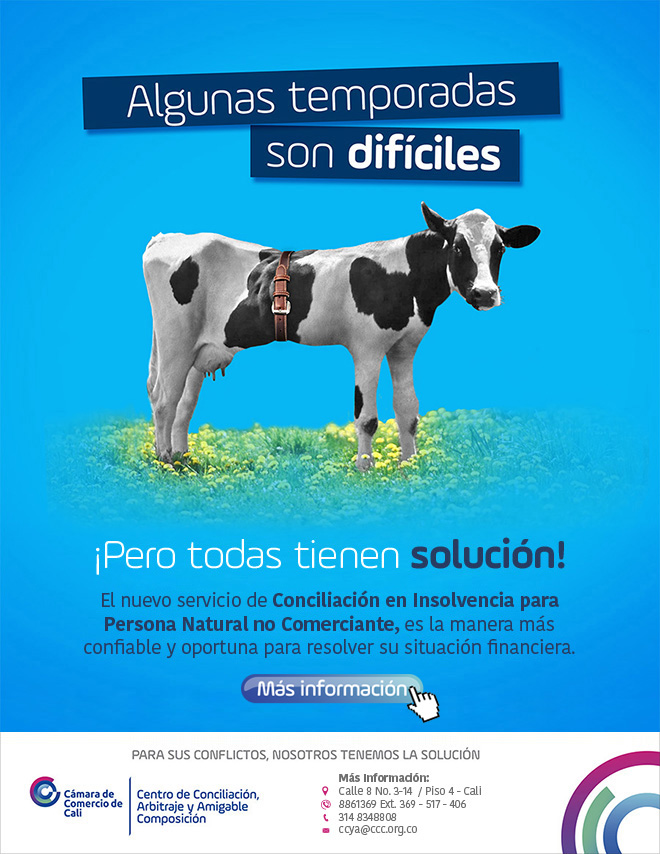 Insolvencia