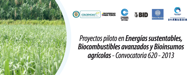 Proyectos piloto en Energías sustentables, Biocombustibles avanzados y Bioinsumos agrícolas – Convocatoria 620 – 2013