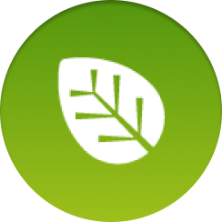 Icono Transición energética  y sostenibilidad