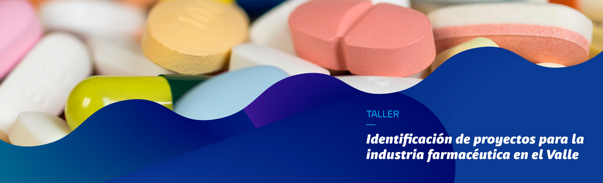 Taller “Identificación de proyectos para la industria farmacéutica en el Valle”