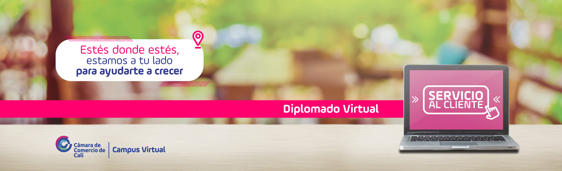 Diplomado en servicio al cliente