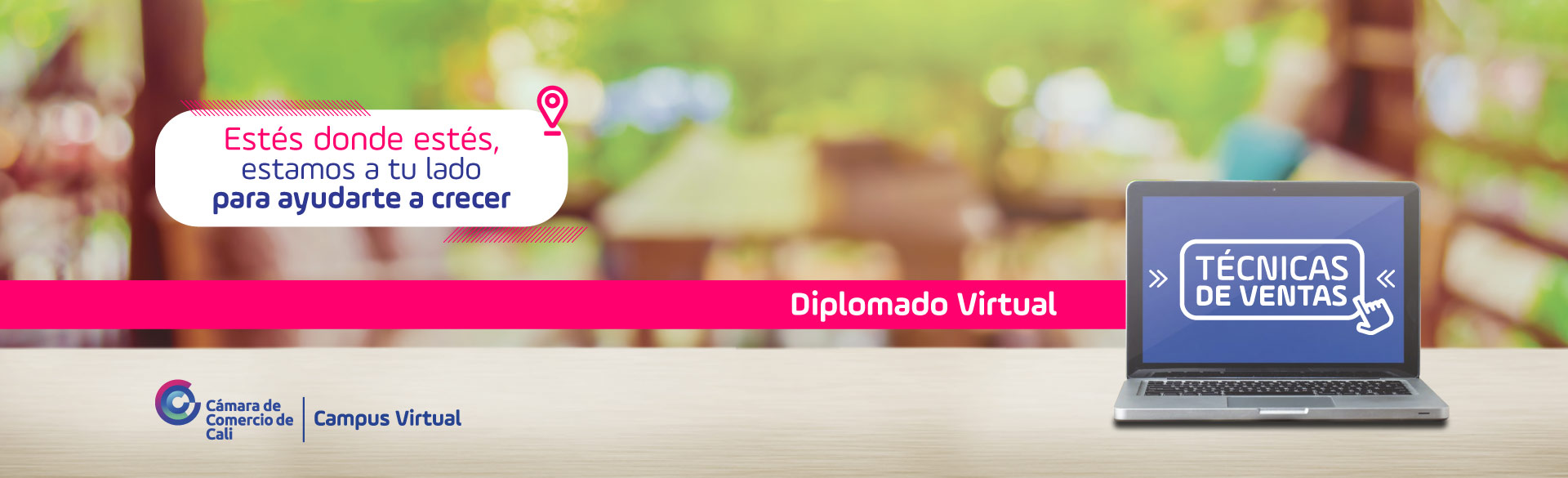 Diplomado en desarrollo en técnica de ventas