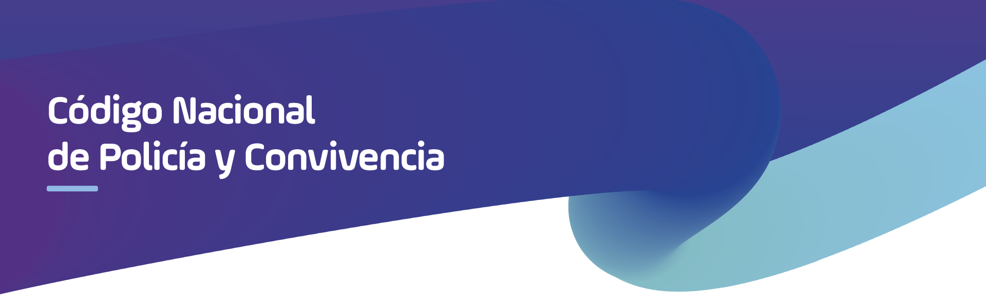 Código Nacional de Policía y Convivencia