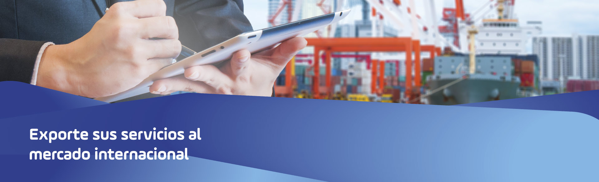 Exporte sus servicios al mercado internacional