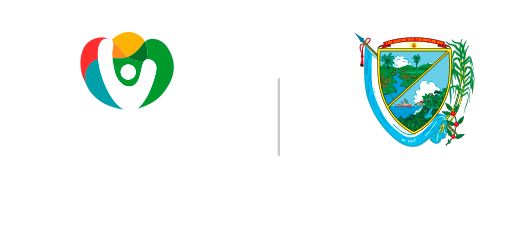 Logo Gobernación del valle del cauca - Valle invencible