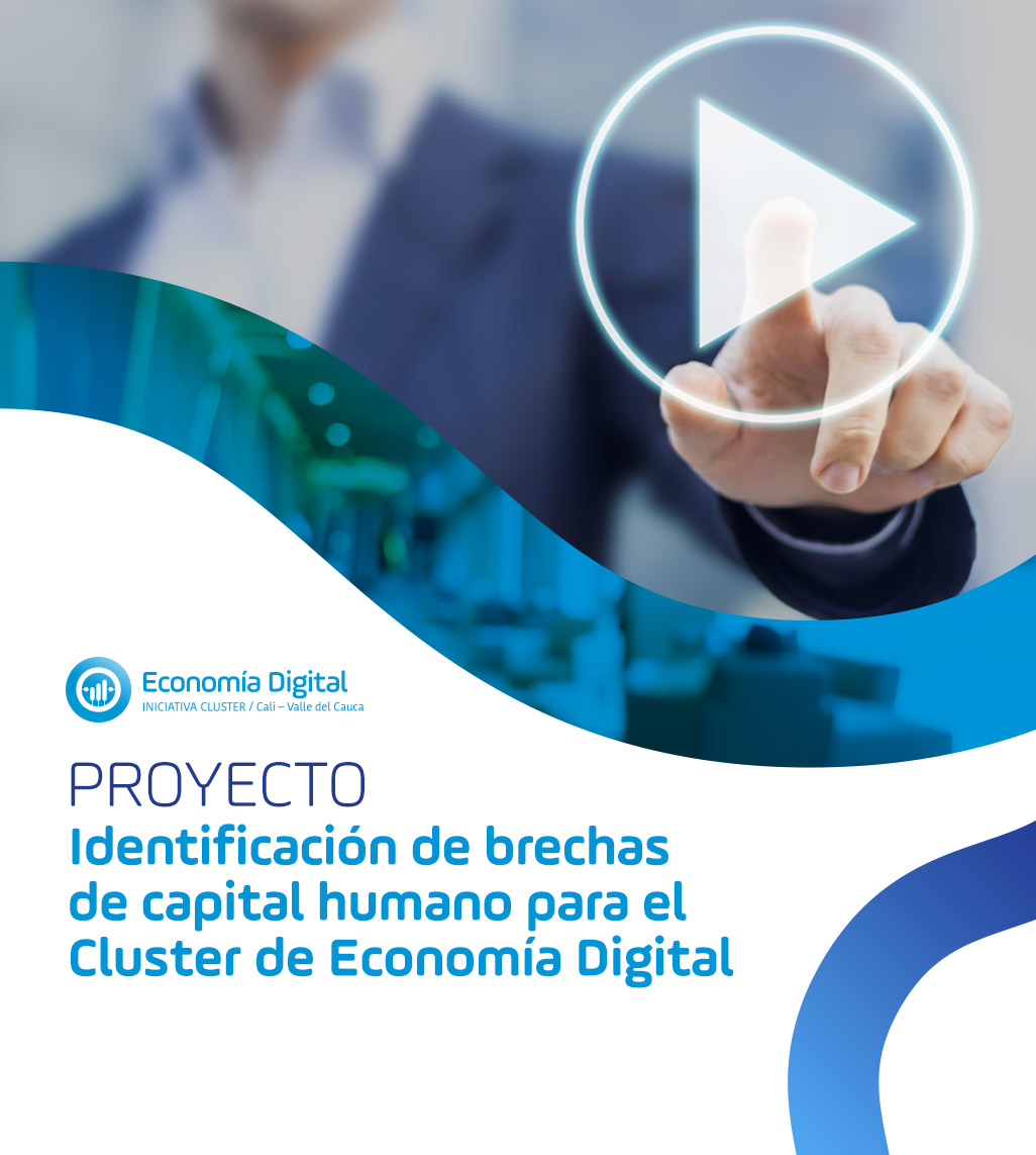 Proyecto: Identificación de brechas de capital humano para el Cluster de Economía Digital