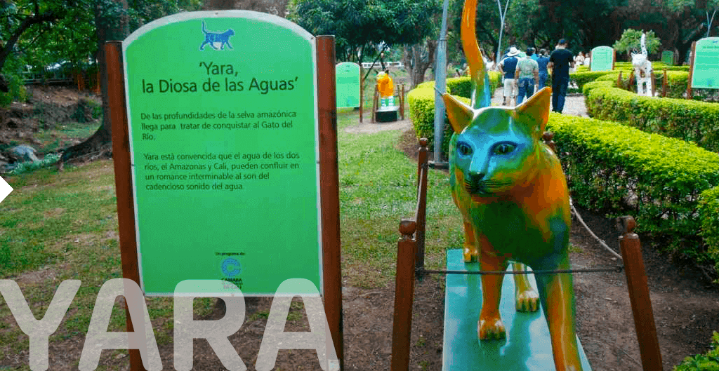foto gata yara