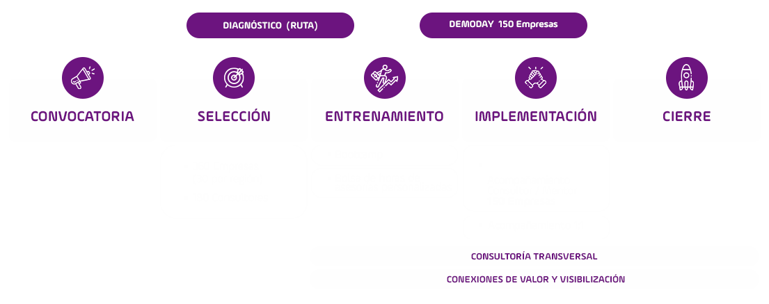Convocatoria, seleccion, entrenimiendo con rootcamp, bolda de horas de asesorias personalizasa, formacion Consultor master. implementación nesta acompañamiento consultor/mentor 150 empresas, acompañamiento 1:1 consultor master. cierre