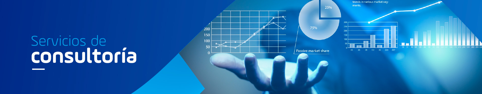 Servicios de consultoria