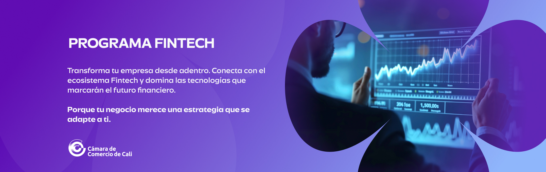 Programa Fintech