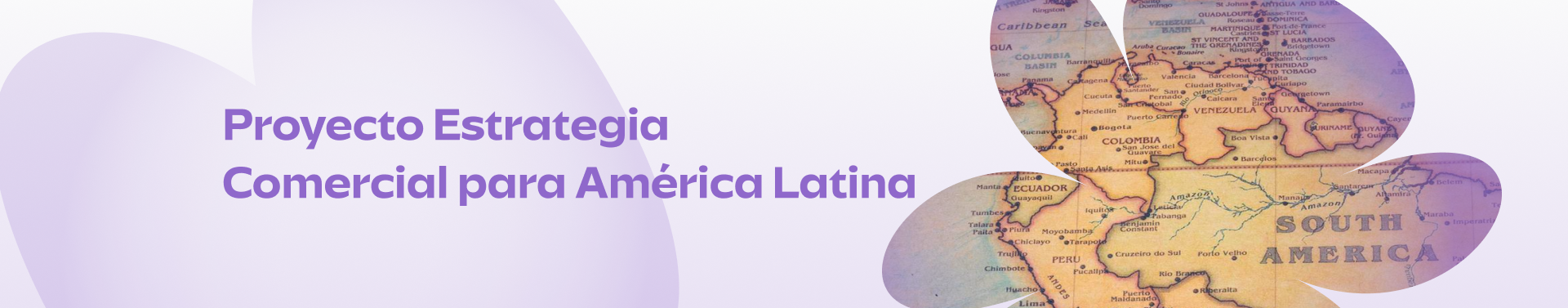 Estrategia Comercial para América Latina