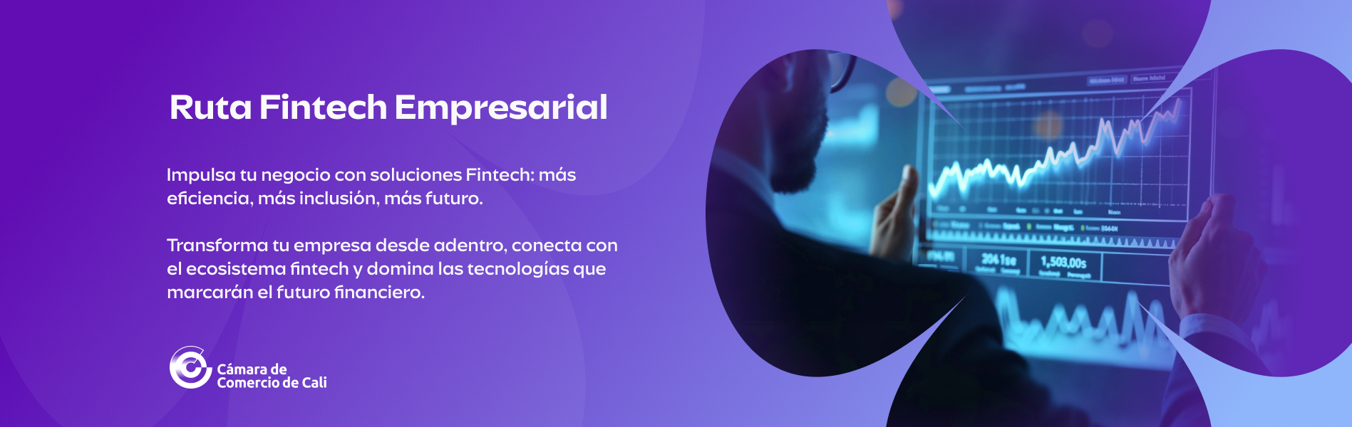 Programa Fintech