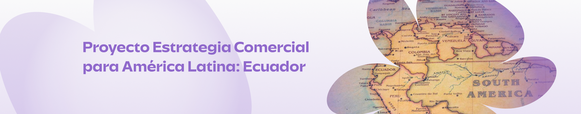 Estrategia Comercial para América Latina