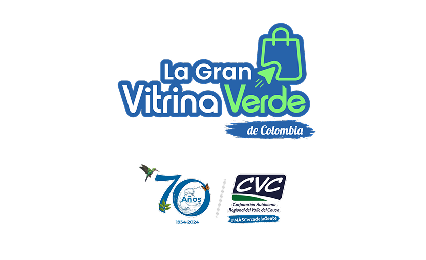 Logo conexión