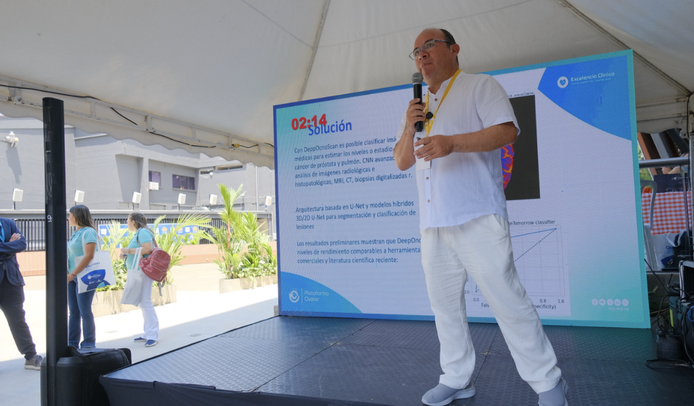 Qualinn 2025 foto 19