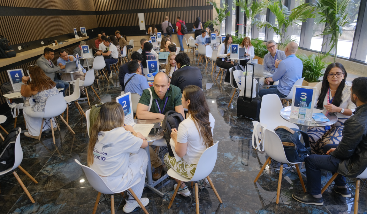 Qualinn 2025 foto 23