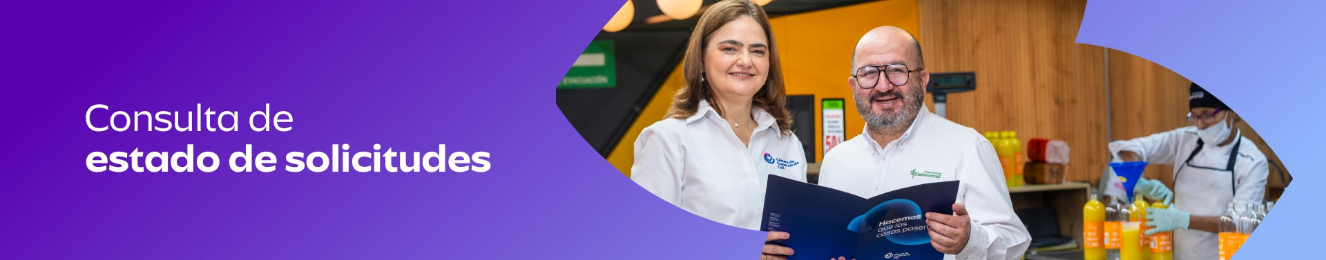 Consulta de estado solicitudes