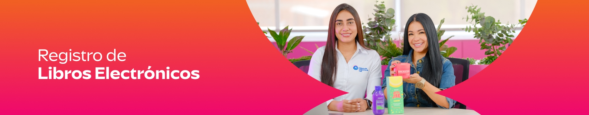 Registro-de-Libros-Electrónicos-escritorio